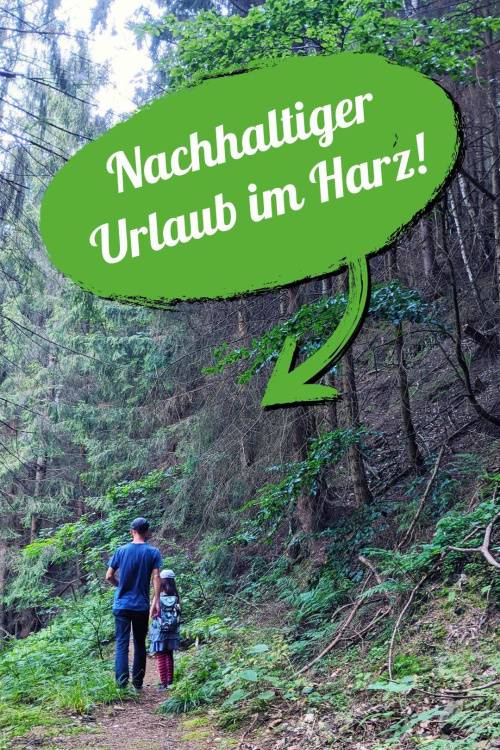 Urlaubstipp in Deutschland: Auf in den Harz! Das höchste Gebirge Norddeutschlands