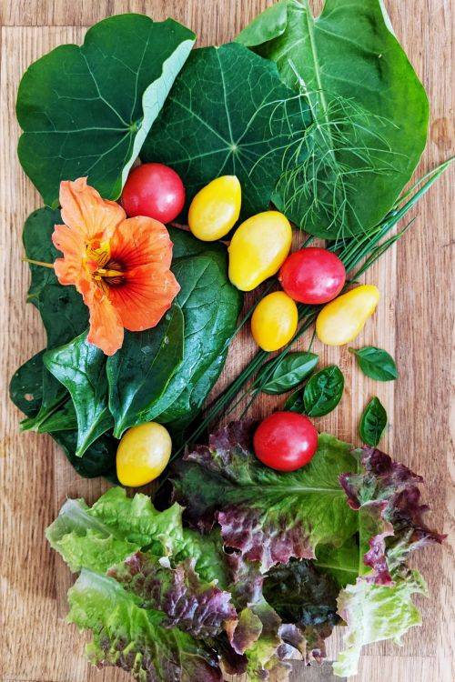 Mehr Gemüse essen - frisch und gesund für Gemüsemuffel