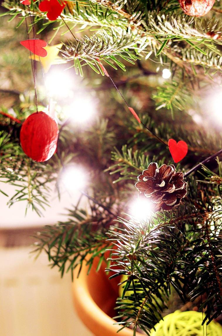 Welcher Weihnachtsbaum ist der bessere? Plastik-Weihnachtsbaum oder echter Weihnachtsbaum?