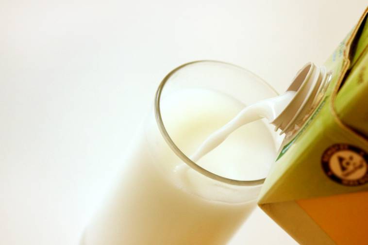 Pflanzenmilch: Bio-Qualität und möglichst ohne Zucker