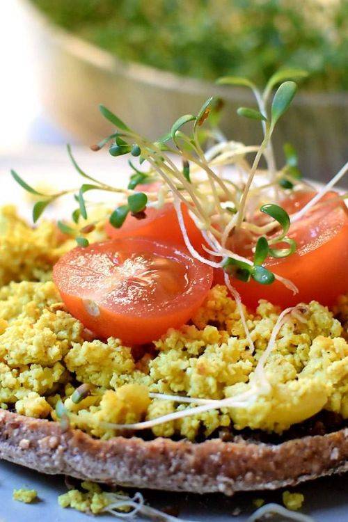 Rührei-Rezept ohne Ei! Für Einsteiger – gesund und einfach