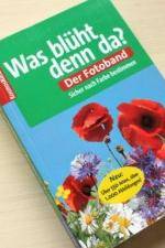 Blumen bestimmen nach Blütenfarbe & Blütenform