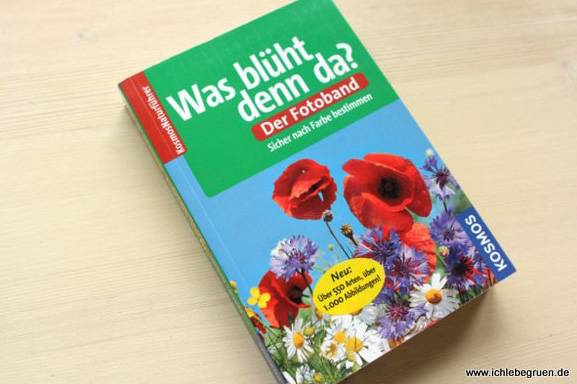 Was blüht denn da?