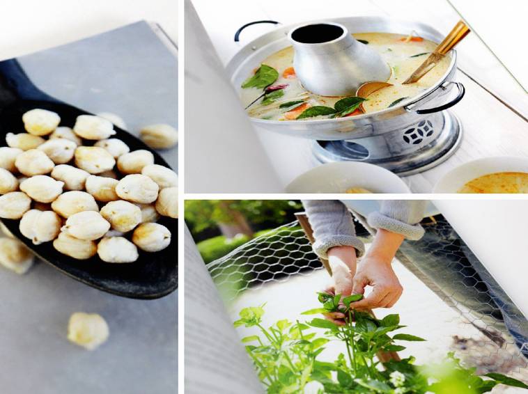 Einblick in das Buch Soup Up Your Life! von Elina Fuhrmann