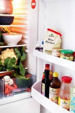 Das ist in unserem Kühlschrank! Vegane Familie packt aus