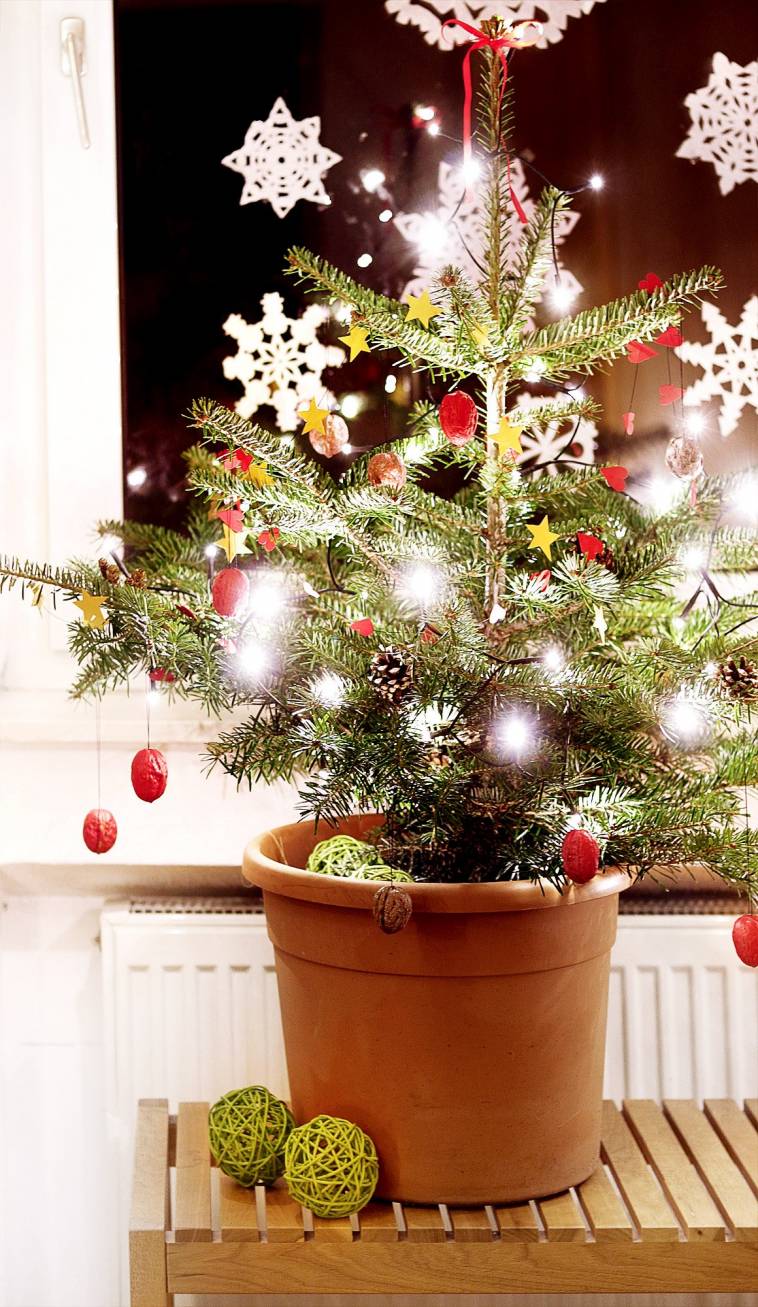 DIY Weihnachtsschmuck - Weihnachtsbaum im Topf