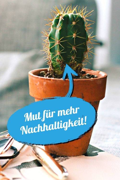 Es tut mir weh, nachhaltig zu leben!
