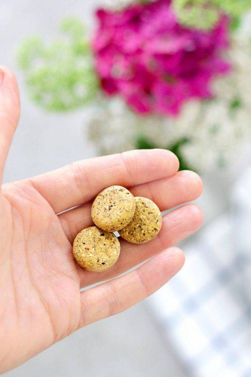 Endlich! Vitamin B12 aus Pflanzen in Bio-Qualität