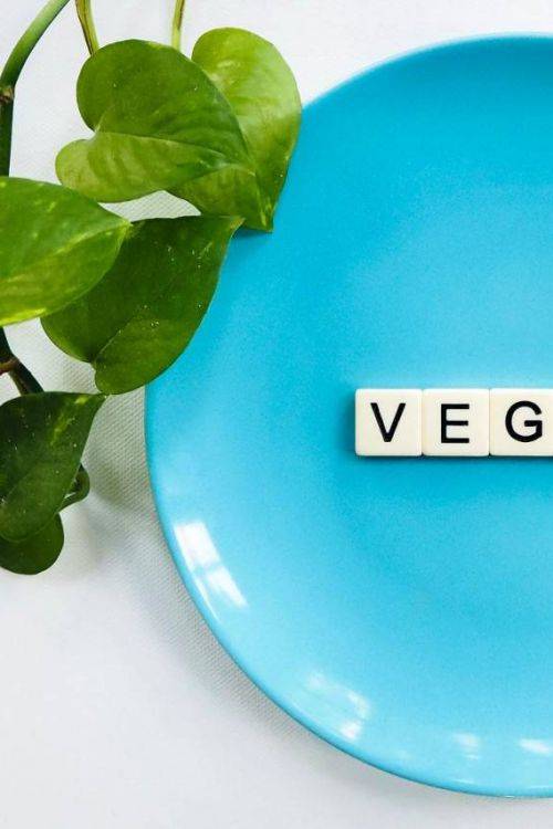 Nie wieder Vorurteile gegen Veganer