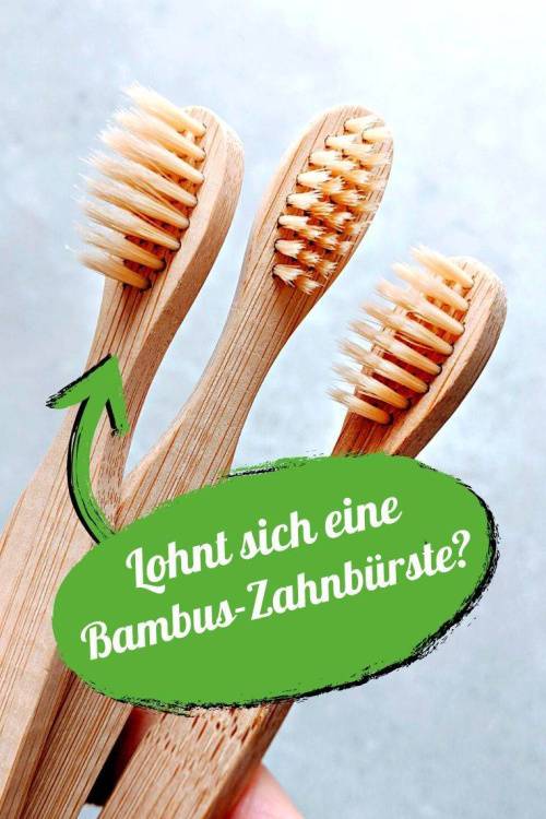 Ist eine Bambus-Zahnbürste nachhaltig? Experten-Interview